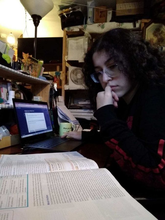 **Prepping for exams...***Reviewing material for the AP exams, senior Hagar Eldeeb prepares to take online AP exams. Eldeeb will be taking exams for statistics, environmental science, and psychology in late May and early June.*
*Photo reprinted with permission from Hagar Eldeeb*
