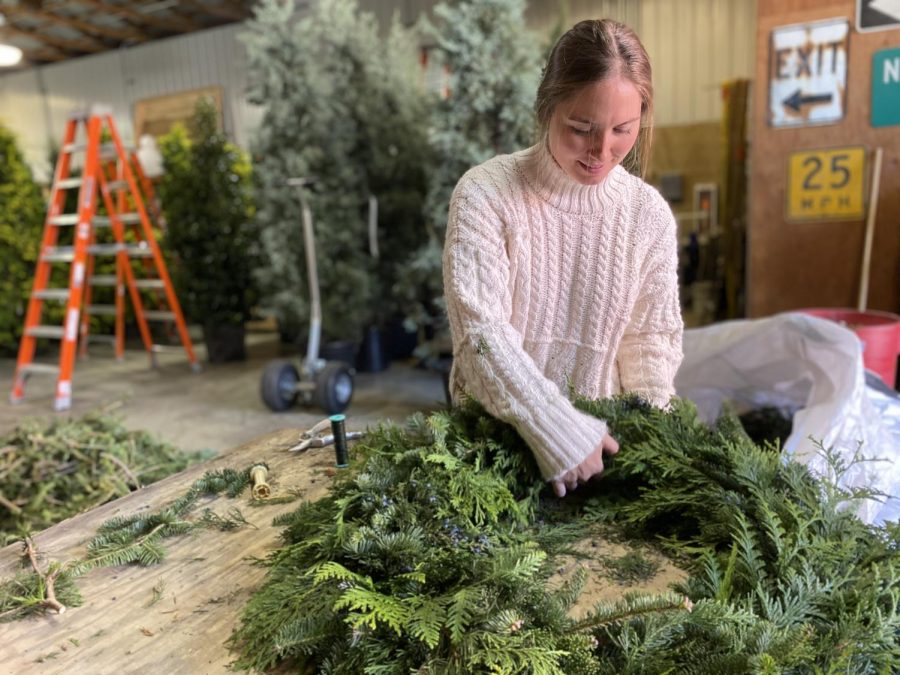 “Deck the halls”...Unbagging wreaths, design intern Gabrielle Rowe prepares holiday displays at Longwood Gardens. The festive garden will be on display now until January 9.