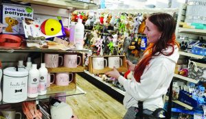 Dunn deal…Searching for dog-related items, junior Kaleigh Spisak debates purchasing a set of coffee mugs with the words woof and bark printed on them. This Rae Dunn product was found at HomeGoods in Montgomeryville.