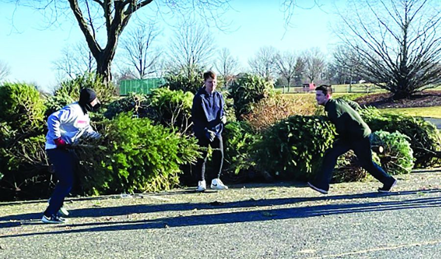 Branching out…SAVE Club members Josh Antill (left), Aidan Aldredge (middle) and Colten Garrick (right) participate in the tree-ditional Christmas tree jousting competition. The SAVE Club tree recycling weekend, January 7-8, was a tree-mendous success and an overall vic-tree.