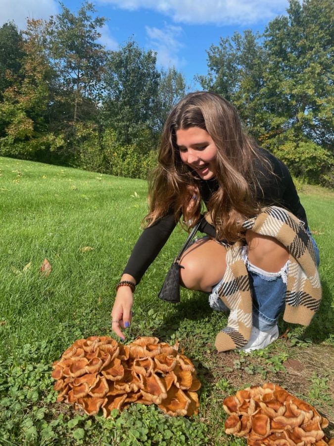 Pumpkin patch…Investigating the fungal bloom on the ground, junior Lily Hasset finds a pumpkin mushroom. Mushrooms can be found anywhere nutrients is available.