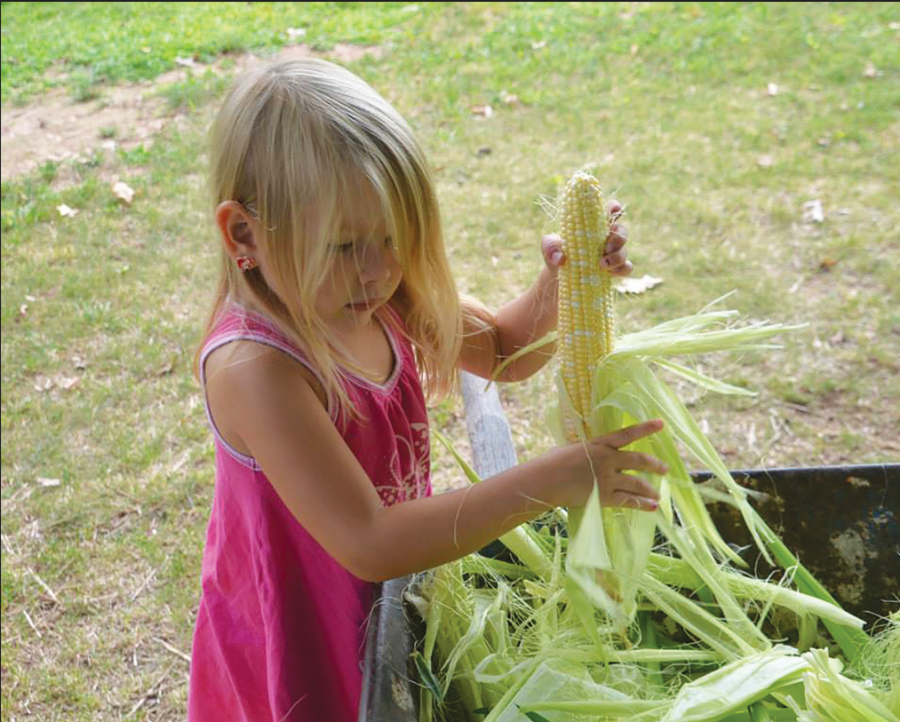 A-maize-ing%E2%80%A6Shucking+corn%2C+amateur+gardener+Kadlin+Grau+preps+homegrown+corn.+%0AGraus+grandma+has+passed+on+her+green+thumb+to+her+grandchildren+by+sharing+the+value+%0Aof+gardening.