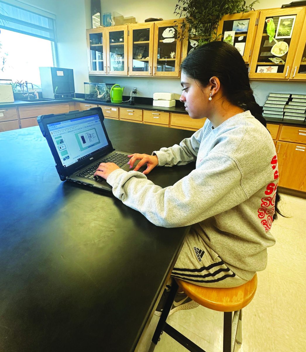 Project planning…Working on her science fair slideshow, sophomore Pranati Jammalamadaka prepares for the PJAS competition, which took place on February 24.
