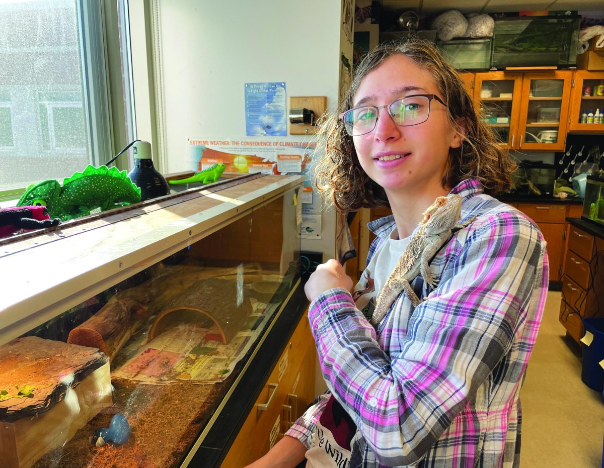 Reptile wrangler...Taking care of Mango the bearded dragon, Herpetology Club president Leah Monastra enjoys one-on-one time with her favorite reptile.