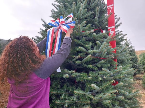 Sprucing it up…Placing a ribbon on the winning tree, Arrowhead adviser Stacey Aronow, along with Arrowhead editors and SAVE members, helped select Vice President Kamala Harris’ Christmas tree at Bustard’s Lehighton, Pa. tree farm on October 4. Bustard’s Christmas Trees won the honor earlier this year by placing second in the National Christmas Tree Contest. In 2015, Bustard’s was named grand champion and chosen to provide then President Barack Obama’s Christmas tree, which was displayed in The White House’s Blue Room.