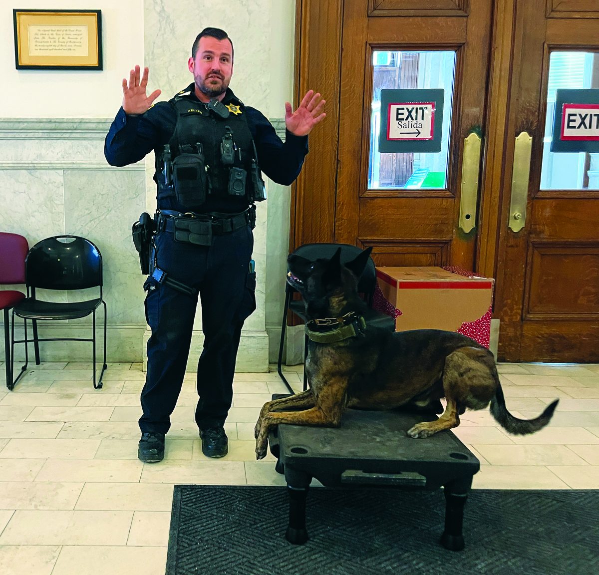 Taking a break…During a recent visit to the Montgomery County Courthouse in Norristown, Corporal Trever Keller and K9 Skiff demonstrate Skiff’s ability to follow commands. Skiff was trained at The University of Pennsylvania Working Dog Center.