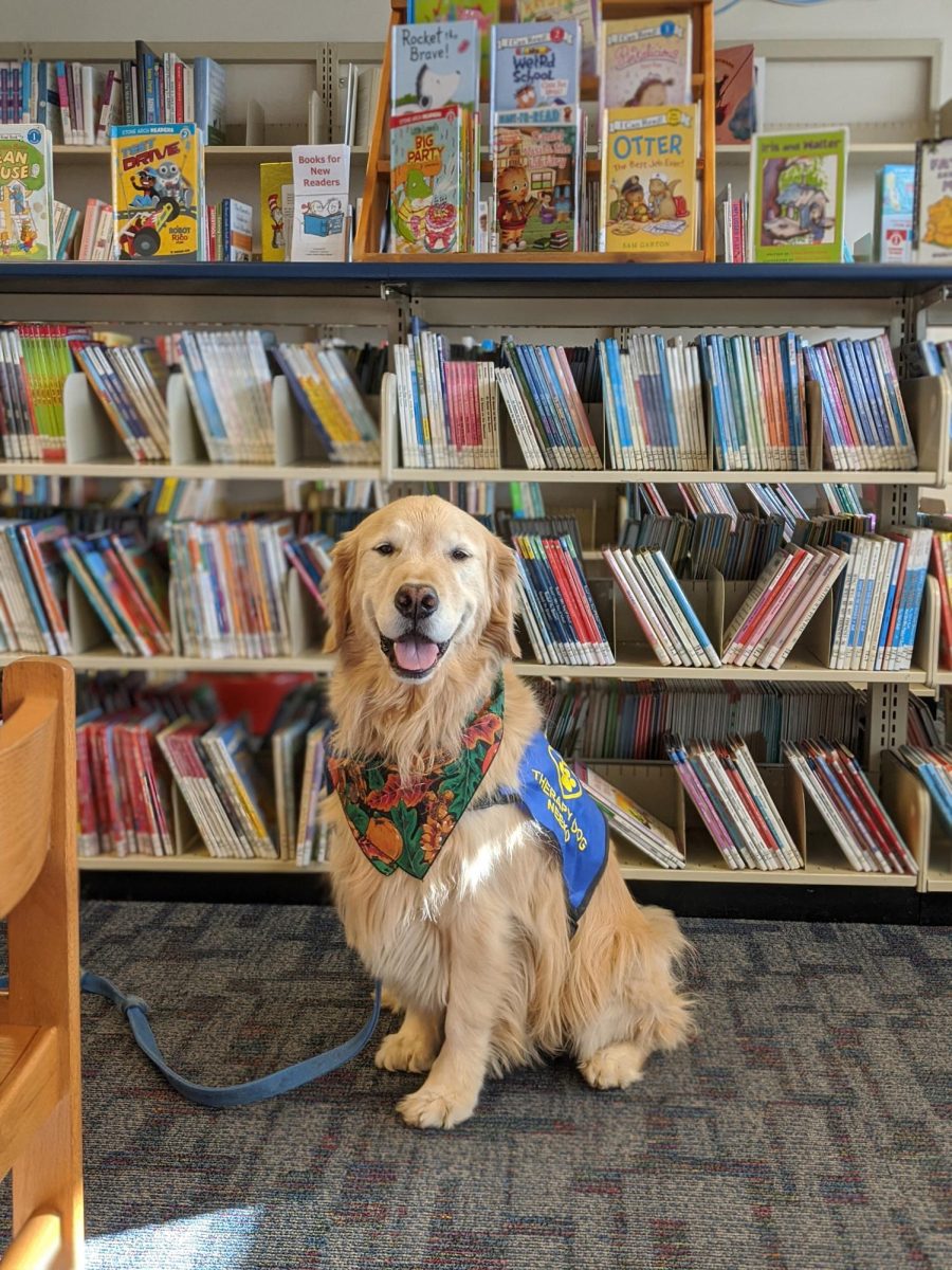 Paws-itively practicing…Supporting children in the community, therapy dog Neeko listens to kids read books to fine-tune their reading skills. Indian Valley Public Library ran one of its Ruff and Read programs on February 28. 

