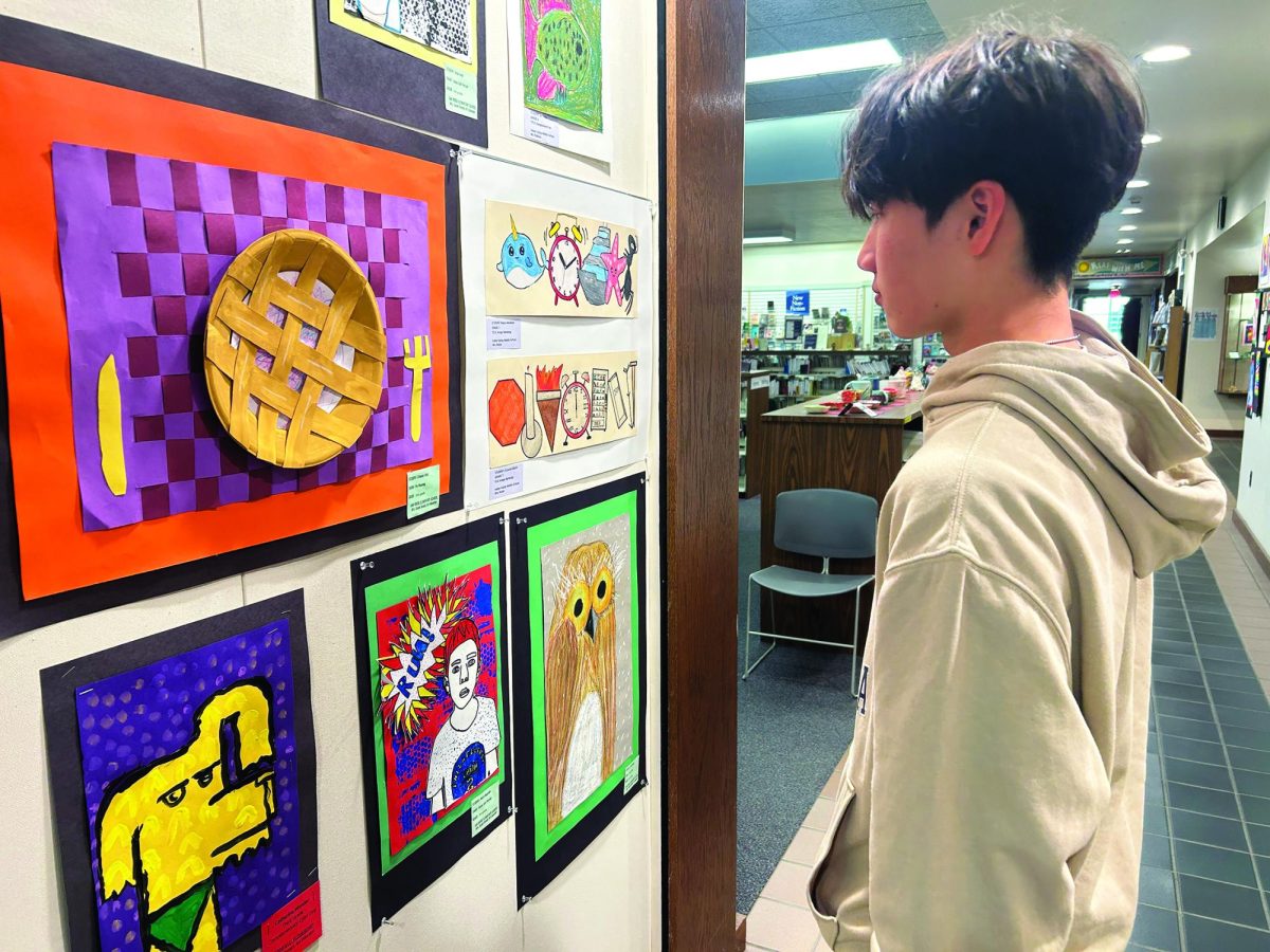 Vivid displays…Admiring various pieces of art created by the district’s students, freshman Jayden Park takes time to recognize the work done by both elementary and middle school students. The art show was held at the Indian Valley Public Library from March 5-April 6, and was open to the public.