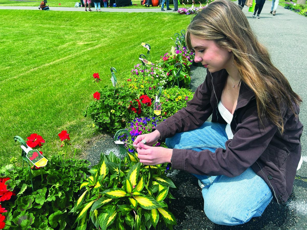 Spring has sprung...Examining a hanging flower basket, sophomore Hayden Pickard attends the Upper Salford Locally Grown Showcase at Upper Salford Park on May 2.
