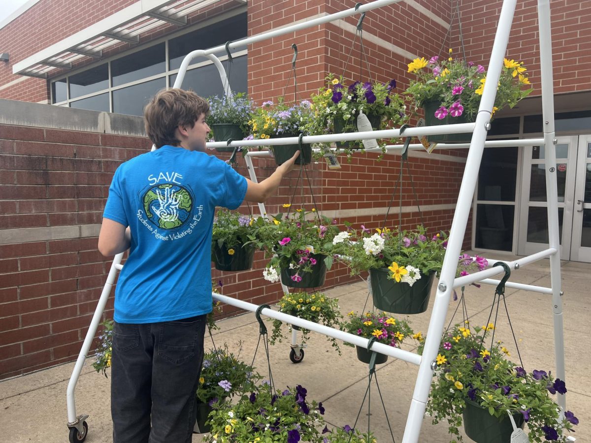 Planting for a purpose…Setting up for the annual SAVE plant sale on May 9, SAVE officer Quincy Canavan organizes the hanging baskets. Customers were able to peruse the plants both inside and outside of the high school’s greenhouse.